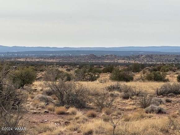 36.05 Acres of Recreational Land for Sale in Snowflake, Arizona