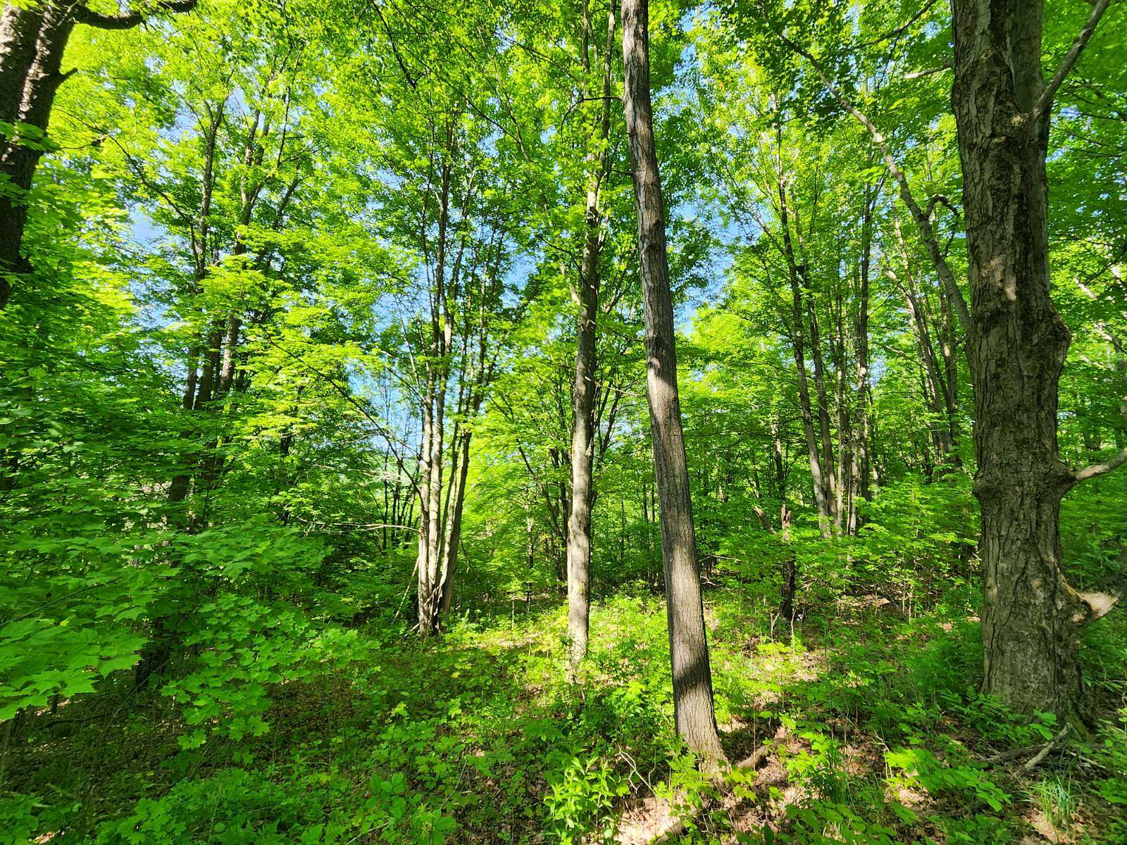 11 Acres of Recreational Land for Sale in Erin, New York