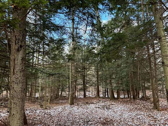 10.93 Acres of Recreational Land for Sale in Erin, New York