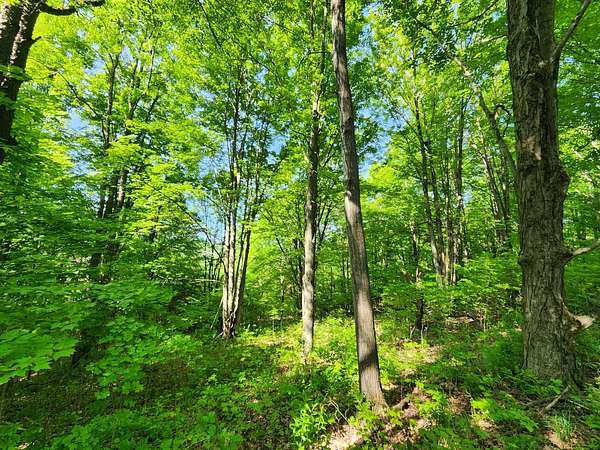 11 Acres of Recreational Land for Sale in Erin, New York