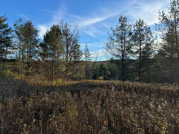 5.28 Acres of Residential Land for Sale in Erin, New York