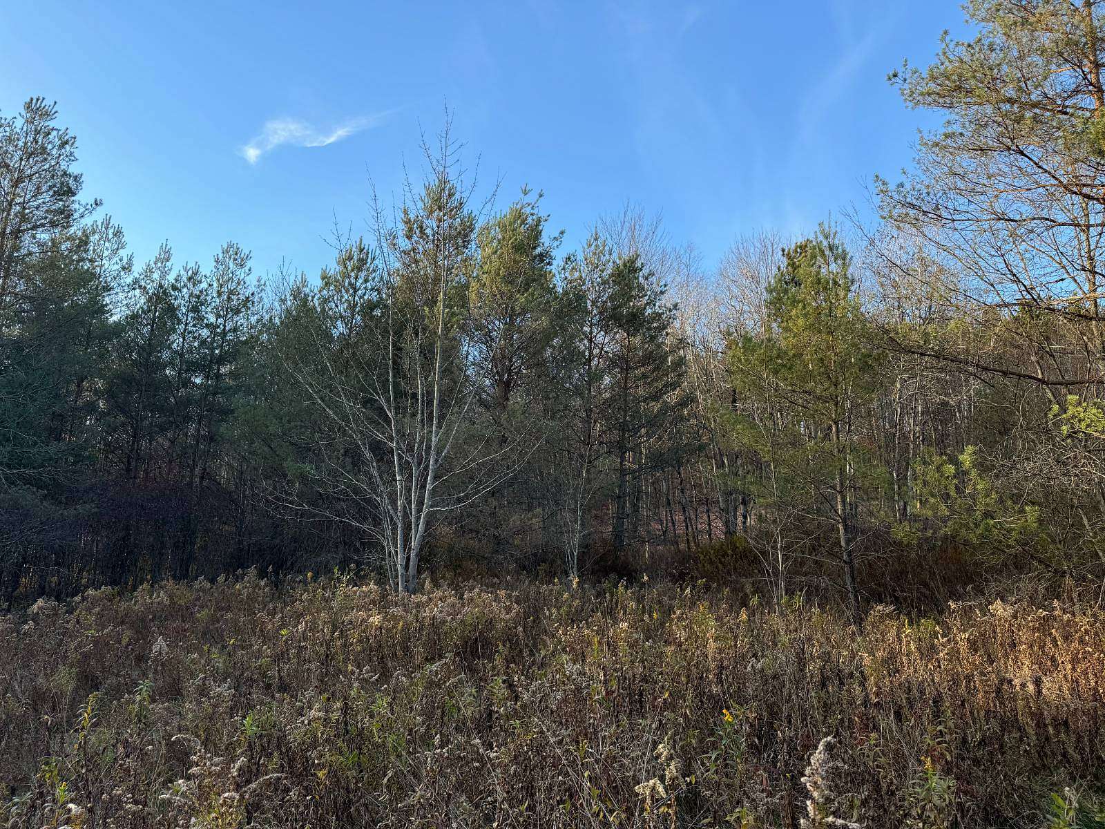 5.18 Acres of Residential Land for Sale in Erin, New York