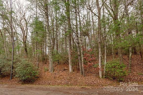 0.77 Acres of Residential Land for Sale in Asheville, North Carolina