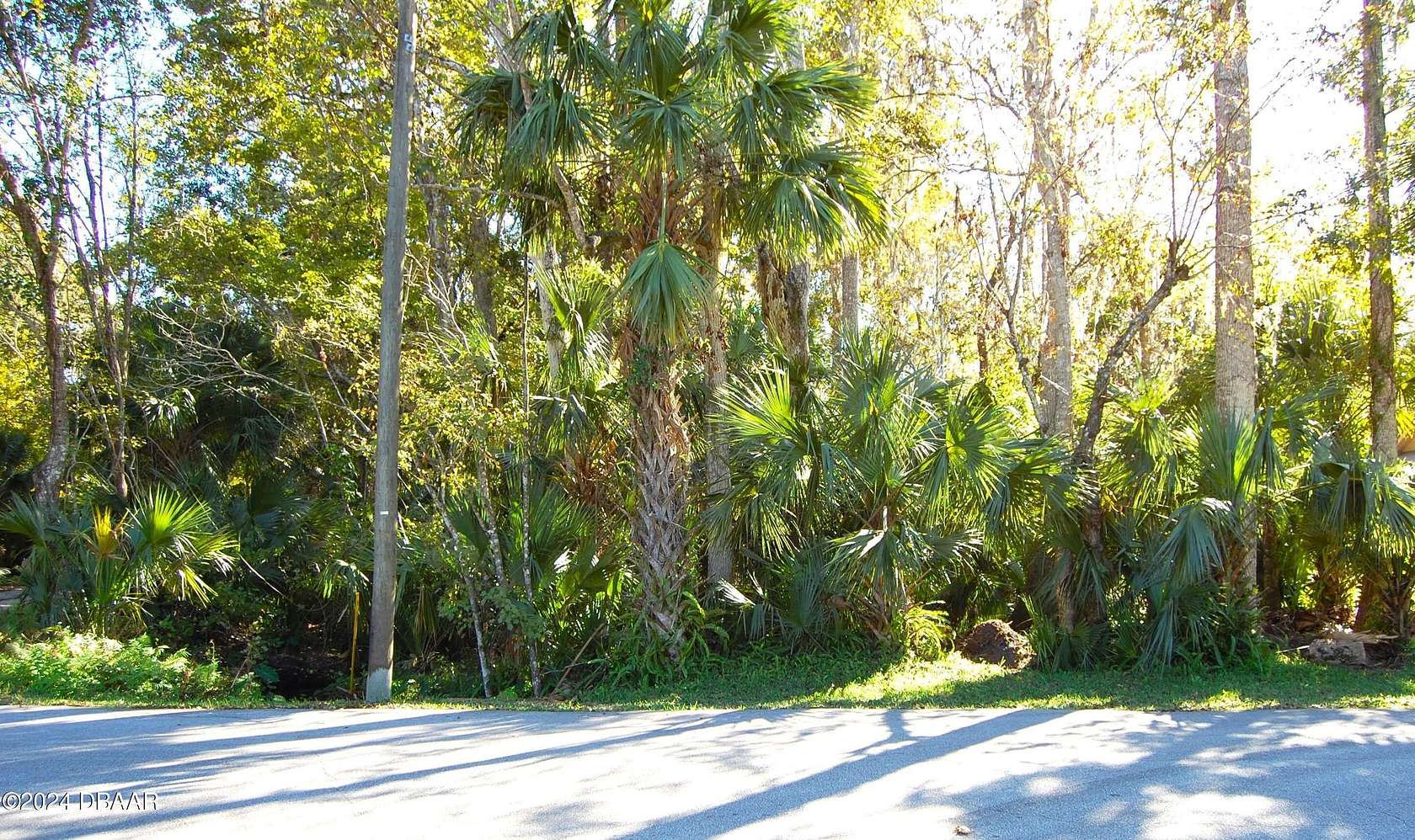 0.23 Acres of Residential Land for Sale in New Smyrna Beach, Florida