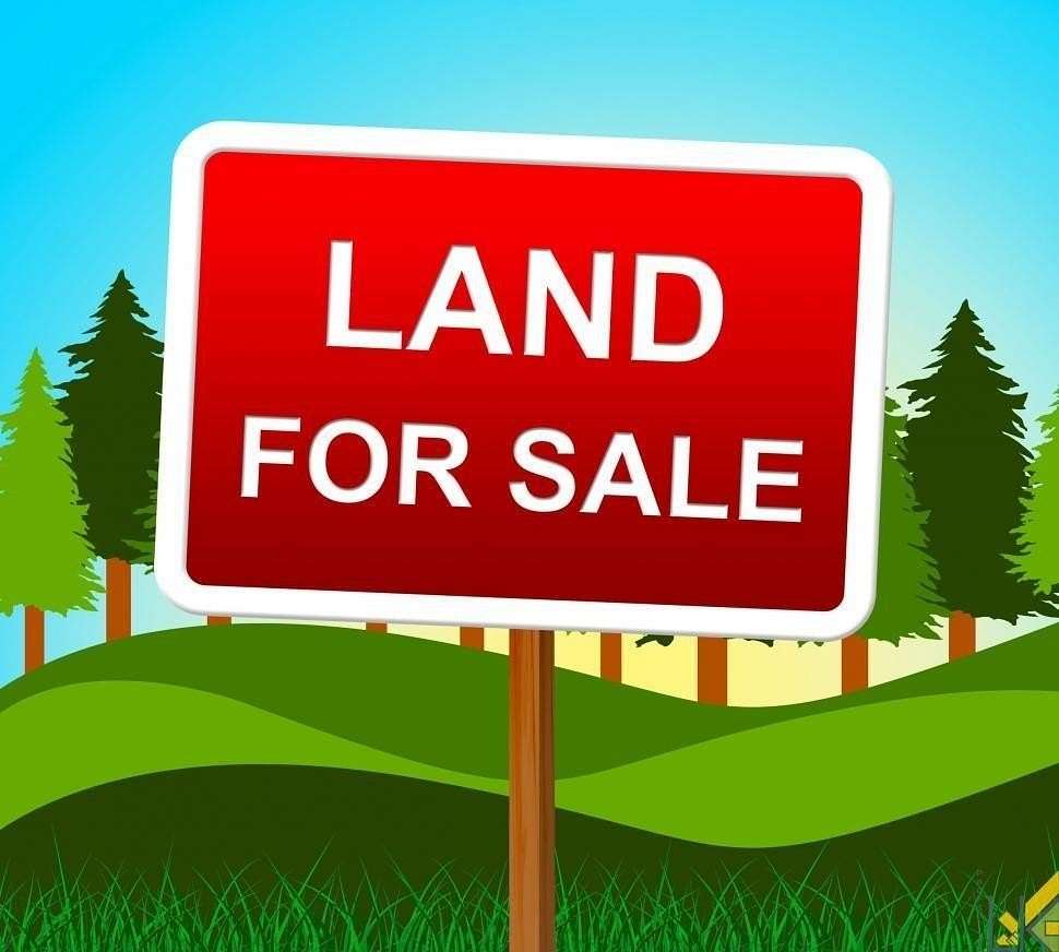 3.59 Acres of Residential Land for Sale in Hamilton, Alabama