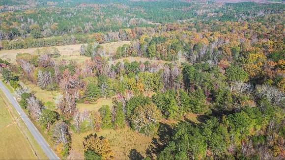 139 Acres of Recreational Land & Farm for Sale in Detroit, Alabama