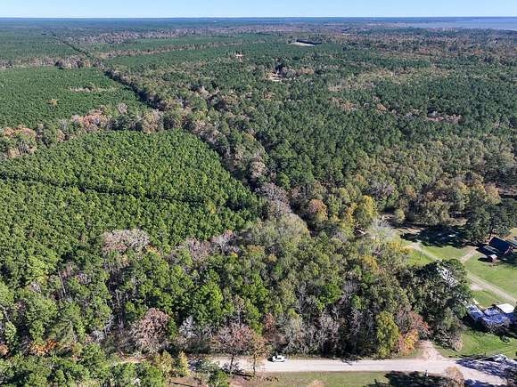 125 Acres of Recreational Land for Sale in Trinity, Texas