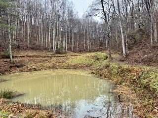 43 Acres of Recreational Land with Home for Sale in Princeton, West Virginia