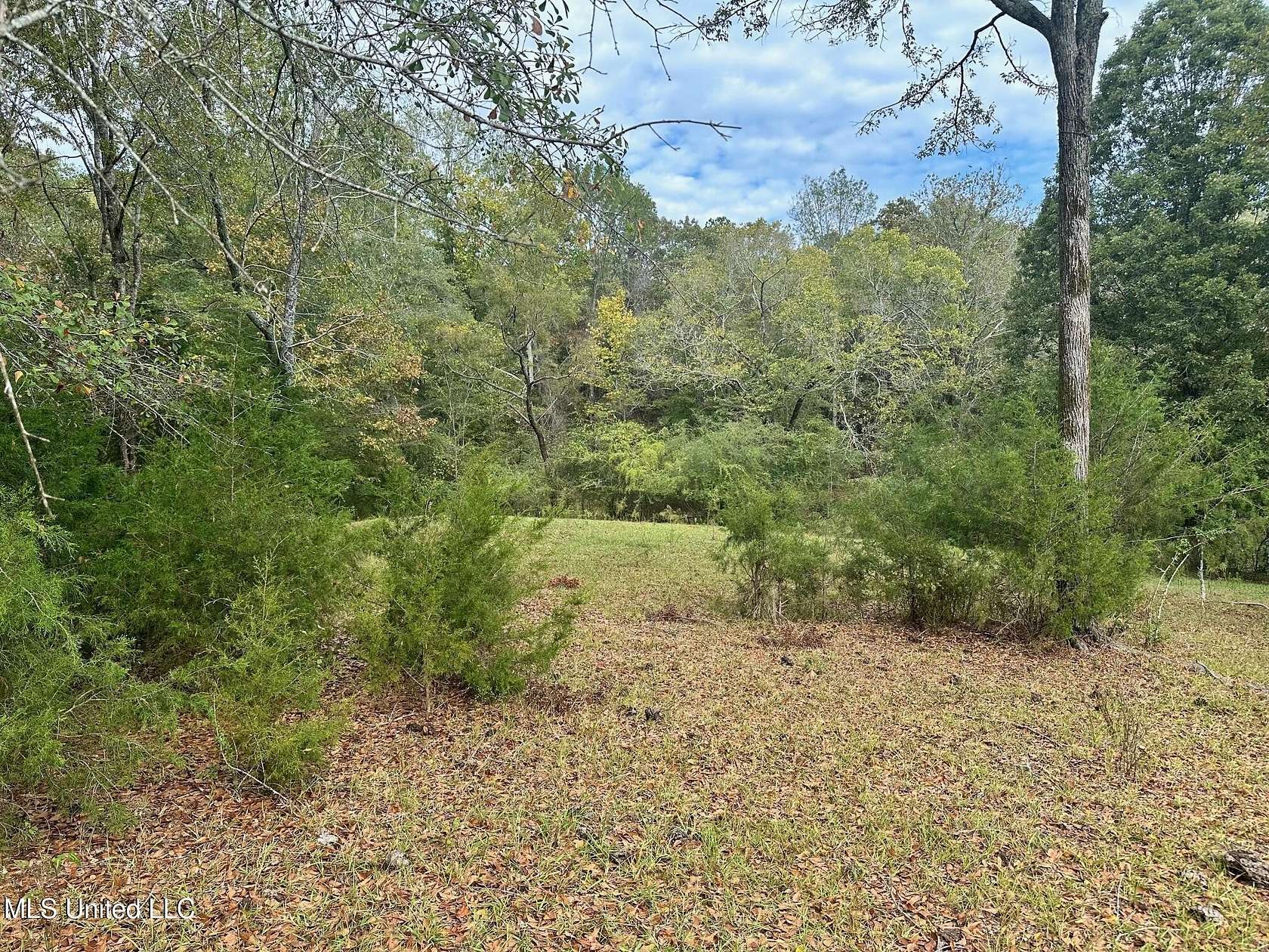 5 Acres of Residential Land for Sale in Canton, Mississippi