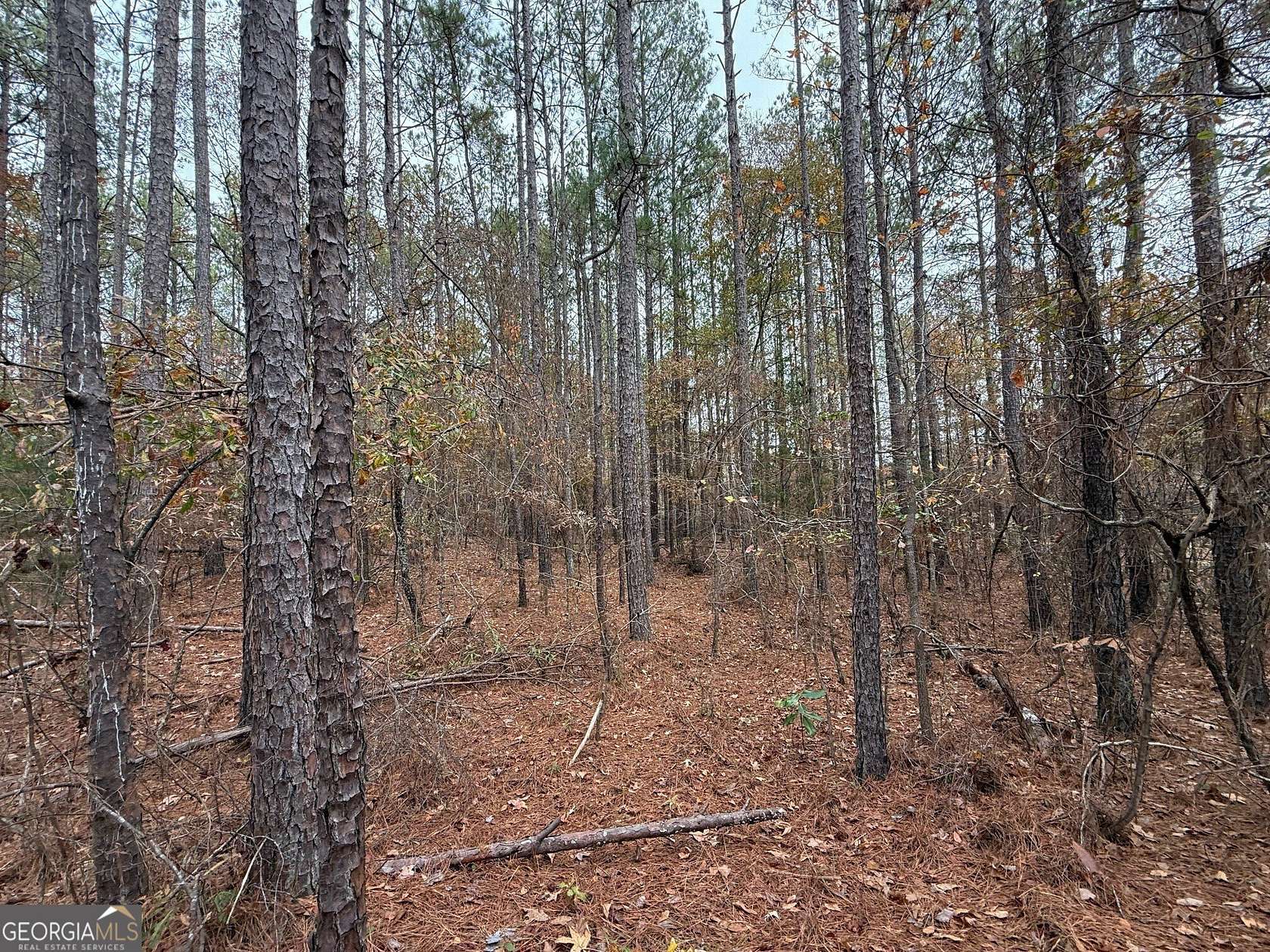 7.8 Acres of Residential Land for Sale in Greenville, Georgia