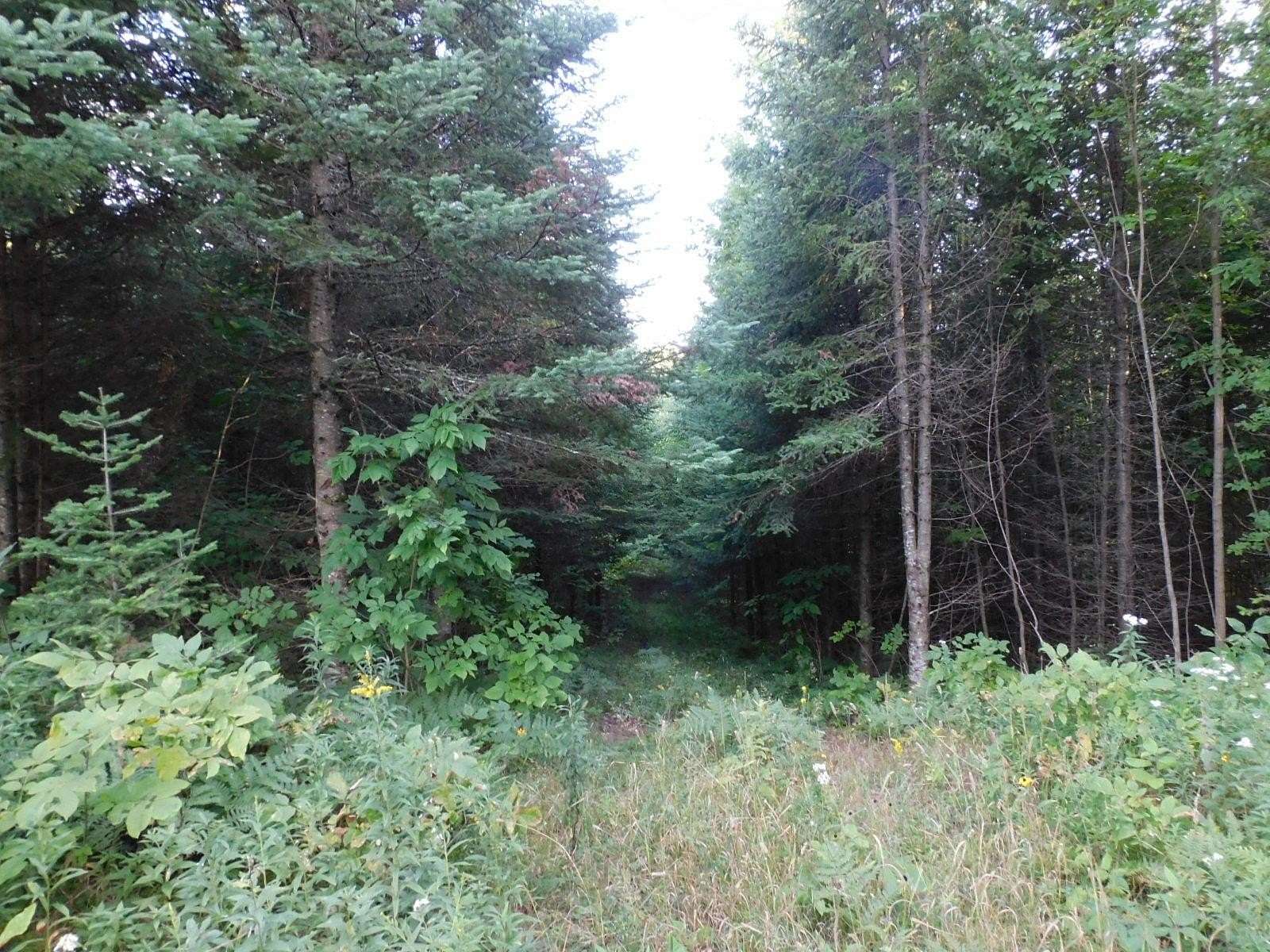 35 Acres of Recreational Land for Sale in Irma, Wisconsin