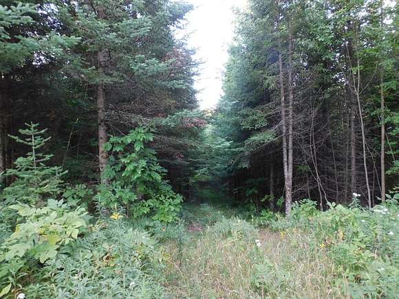 35 Acres of Recreational Land for Sale in Irma, Wisconsin