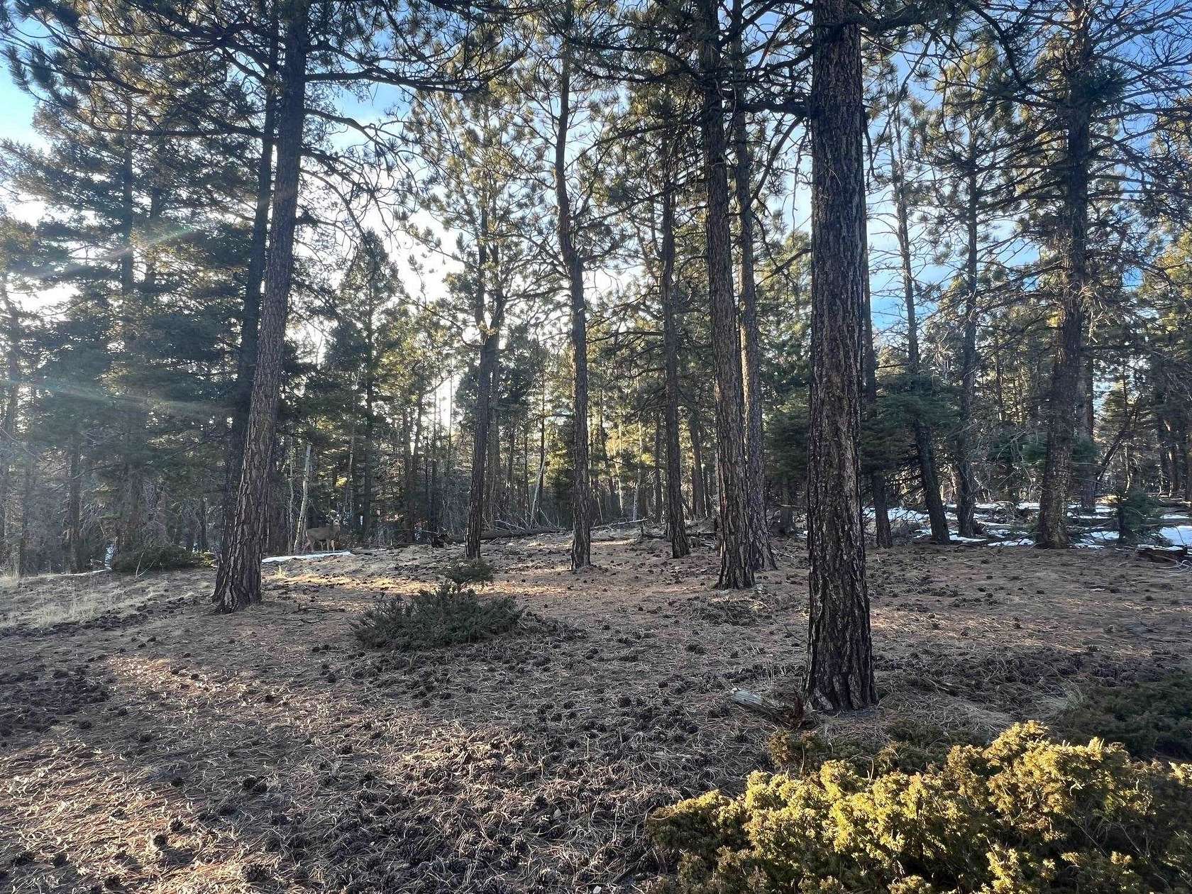 0.76 Acres of Residential Land for Sale in Angel Fire, New Mexico