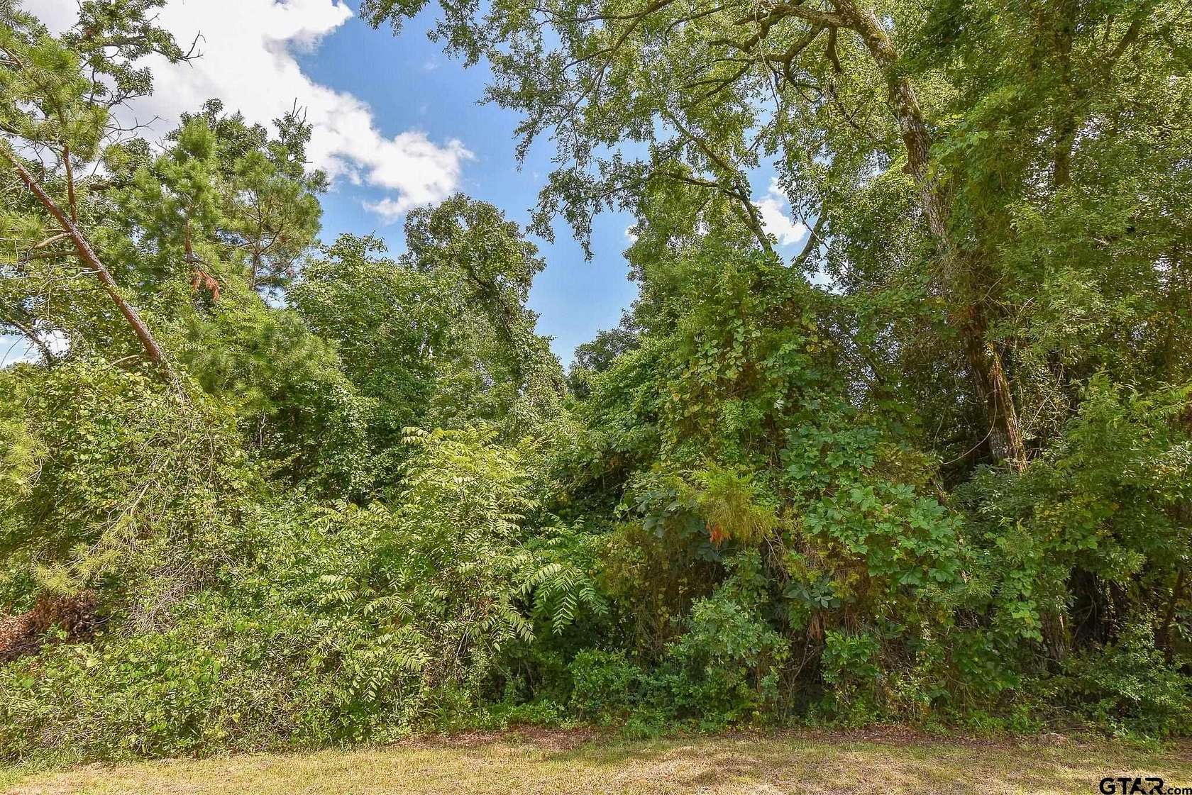 0.257 Acres of Residential Land for Sale in Tyler, Texas