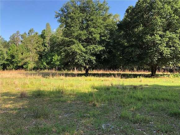 10.96 Acres of Land for Sale in Thonotosassa, Florida