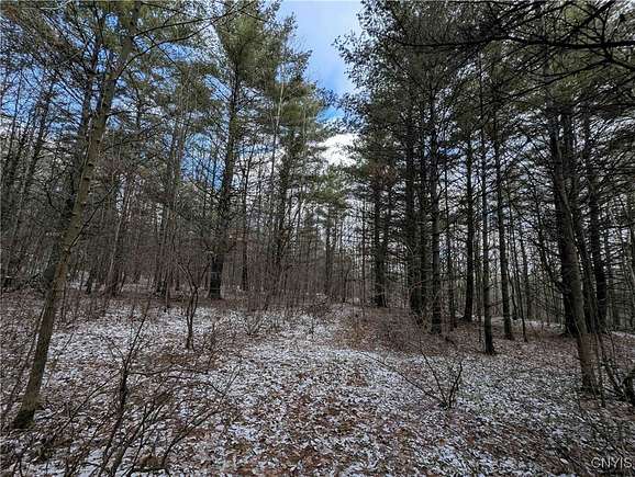 30 Acres of Recreational Land for Sale in Cameron, New York