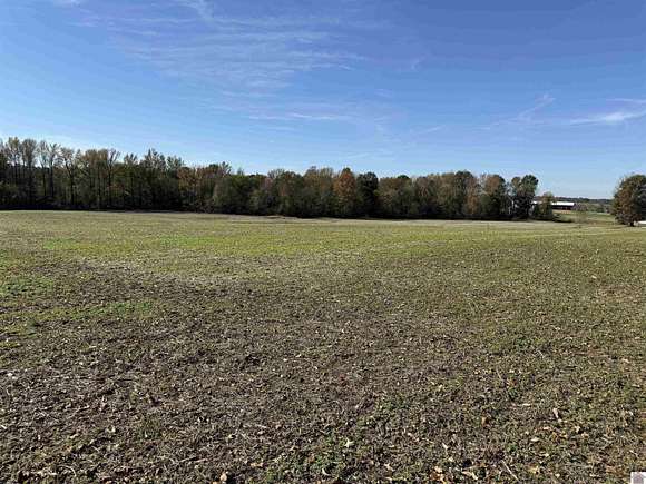 12 Acres of Land for Auction in Bardwell, Kentucky