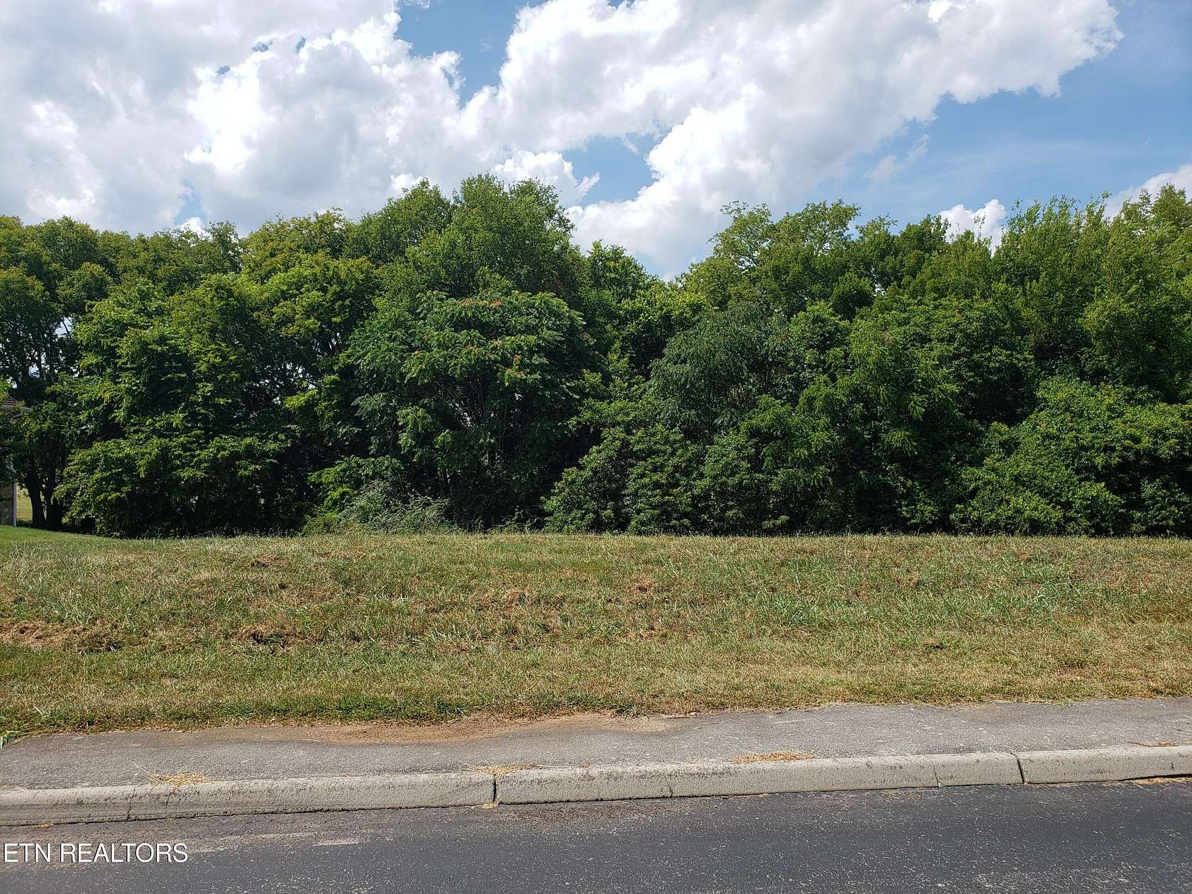 0.32 Acres of Residential Land for Sale in Vonore, Tennessee