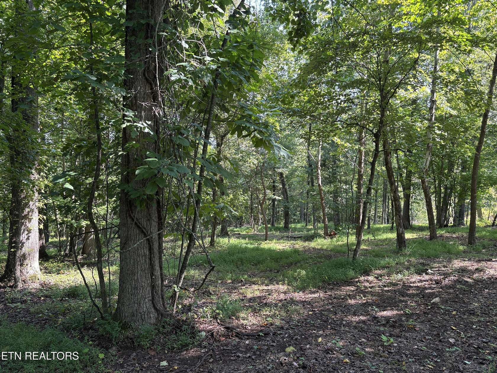 1.8 Acres of Residential Land for Sale in Rockwood, Tennessee