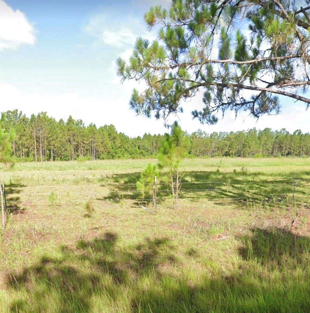 3.75 Acres of Residential Land for Sale in Polk City, Florida