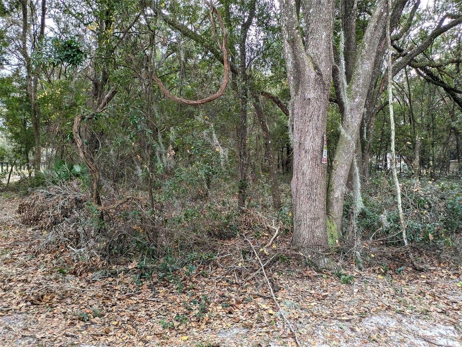 1.25 Acres of Land for Sale in Dunnellon, Florida