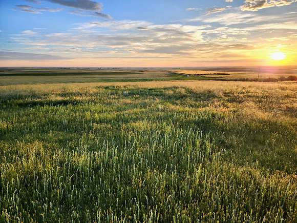 40 Acres of Agricultural Land for Sale in Akron, Colorado