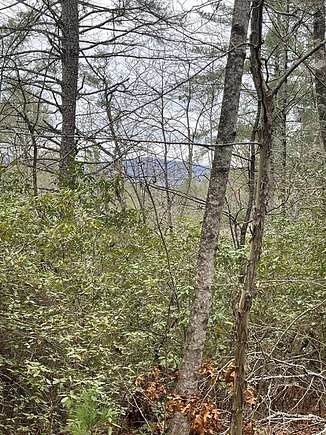 3 Acres of Residential Land for Sale in Tiger, Georgia