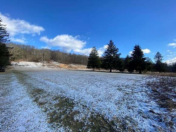 85 Acres of Recreational Land for Sale in Johnstown, Pennsylvania