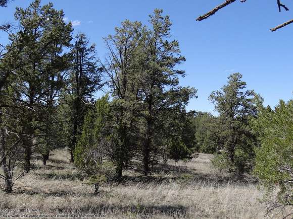 5.29 Acres of Land for Sale in Pinehill, New Mexico