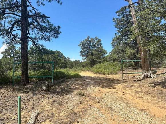 20.01 Acres of Land for Sale in Pie Town, New Mexico