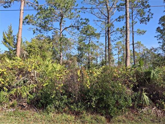 0.31 Acres of Residential Land for Sale in Palm Coast, Florida