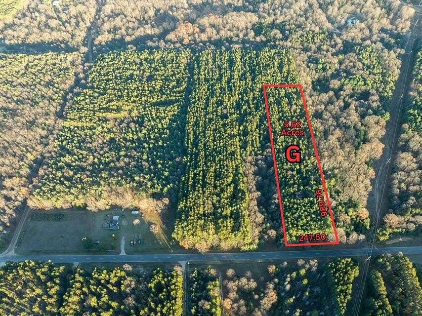 5.62 Acres of Land for Sale in Mears, Michigan