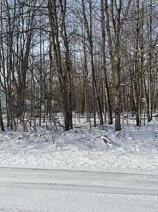 Land for Sale in Roscommon, Michigan