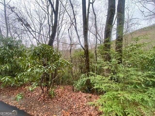 Land for Sale in Sky Valley, Georgia