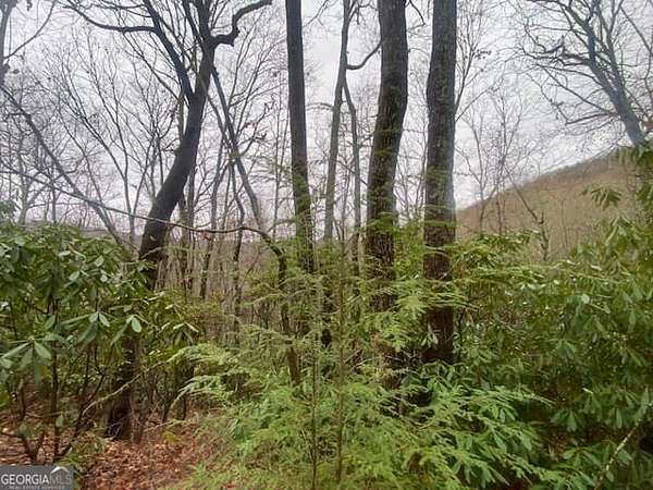 Land for Sale in Sky Valley, Georgia