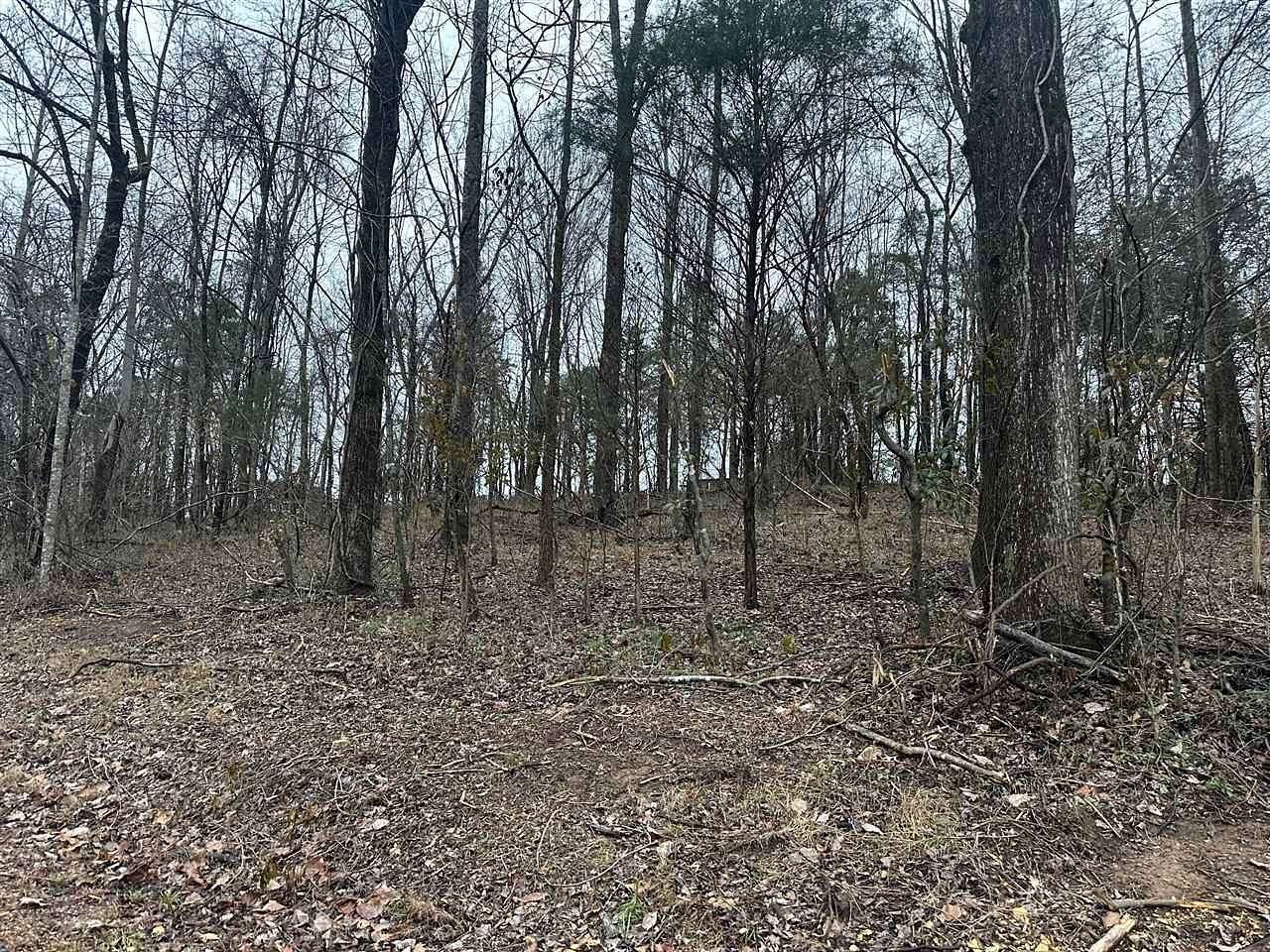 0.54 Acres of Residential Land for Sale in Glasgow, Kentucky