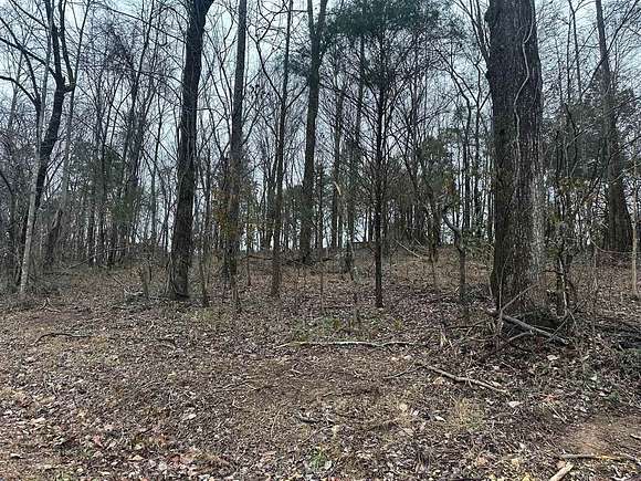 0.54 Acres of Residential Land for Sale in Glasgow, Kentucky