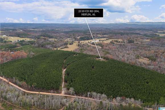 54 Acres of Land with Home for Sale in Heflin, Alabama