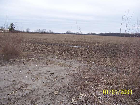 31.22 Acres of Agricultural Land for Sale in Capac, Michigan