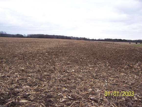 28.96 Acres of Agricultural Land for Sale in Yale, Michigan