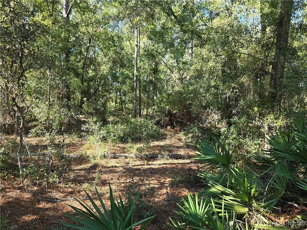 0.26 Acres of Land for Sale in Citrus Springs, Florida