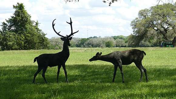 111 Acres of Agricultural Land with Home for Sale in Schulenburg, Texas