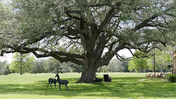 111 Acres of Land with Home for Sale in Schulenburg, Texas
