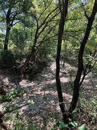 10.703 Acres of Recreational Land for Sale in Muenster, Texas