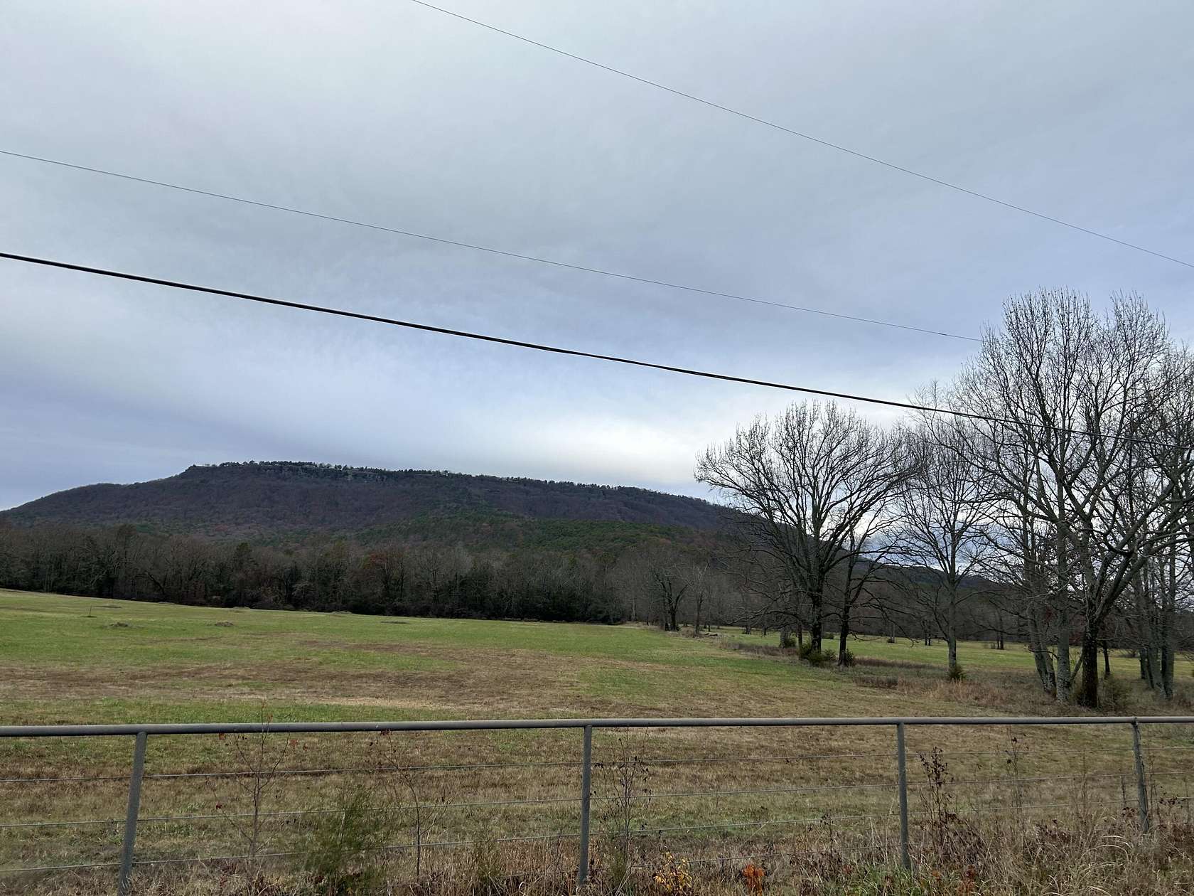 5 Acres of Residential Land for Sale in Dardanelle, Arkansas