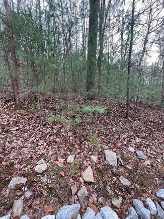 0.33 Acres of Residential Land for Sale in Clayton, Georgia