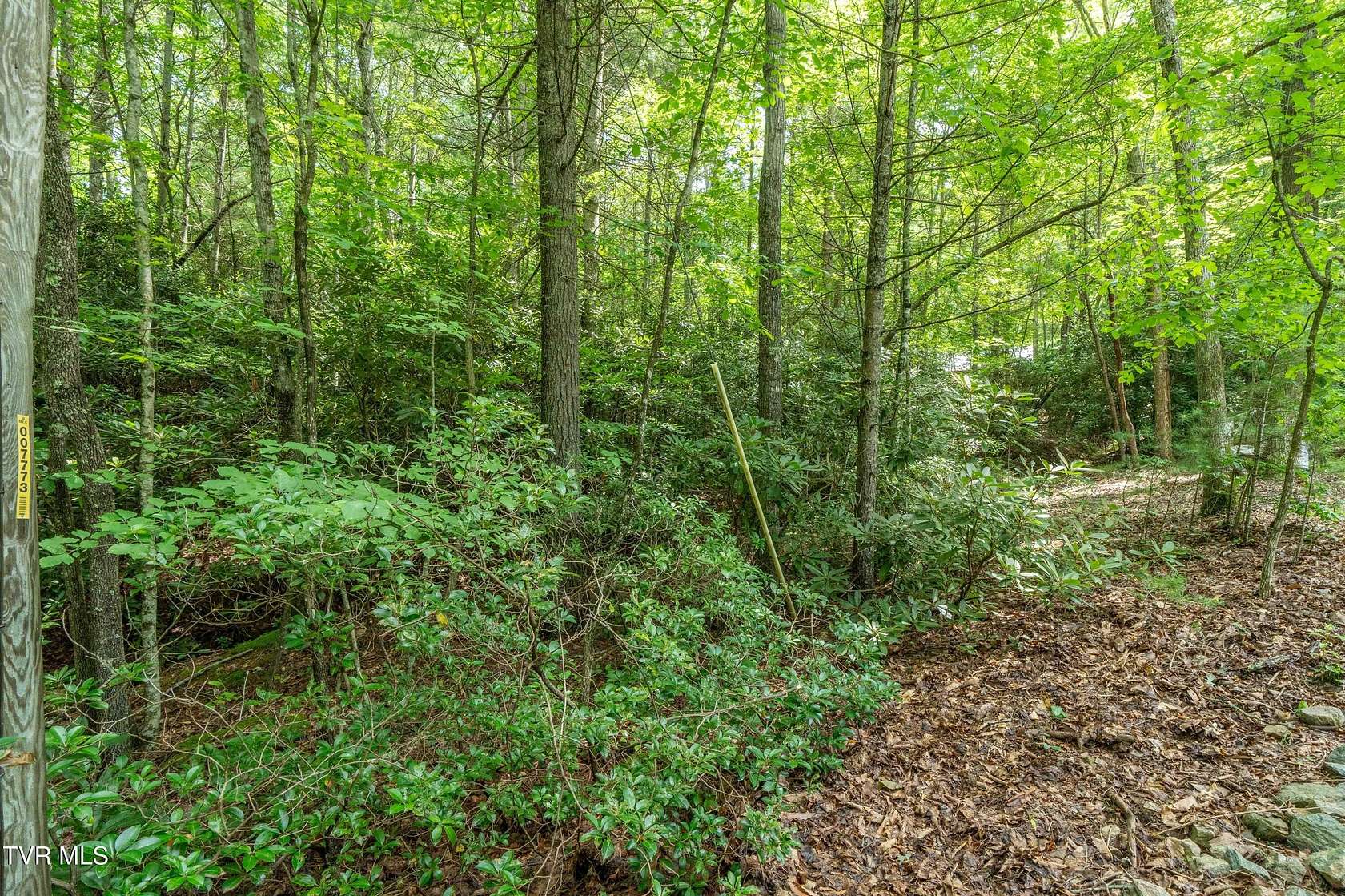 2.59 Acres of Residential Land for Sale in Mountain City, Tennessee