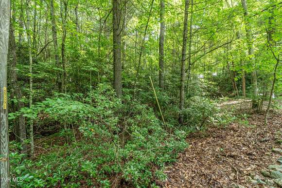 2.59 Acres of Residential Land for Sale in Mountain City, Tennessee