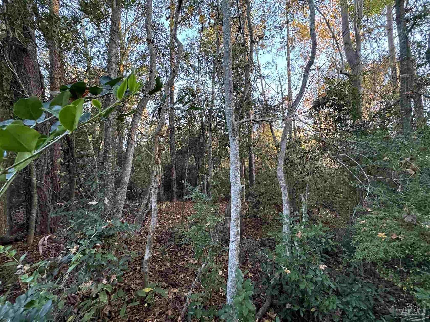 5.43 Acres of Land for Sale in Pensacola, Florida