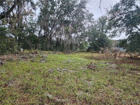 3.92 Acres of Land for Sale in Floral City, Florida